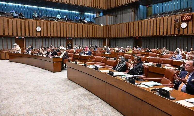 Senate lauds courage, sacrifices of armed forces