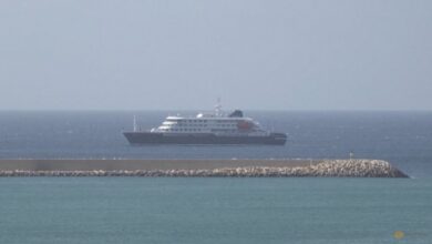 Seven cases of deadly hantavirus confirmed or suspected on stranded cruise ship