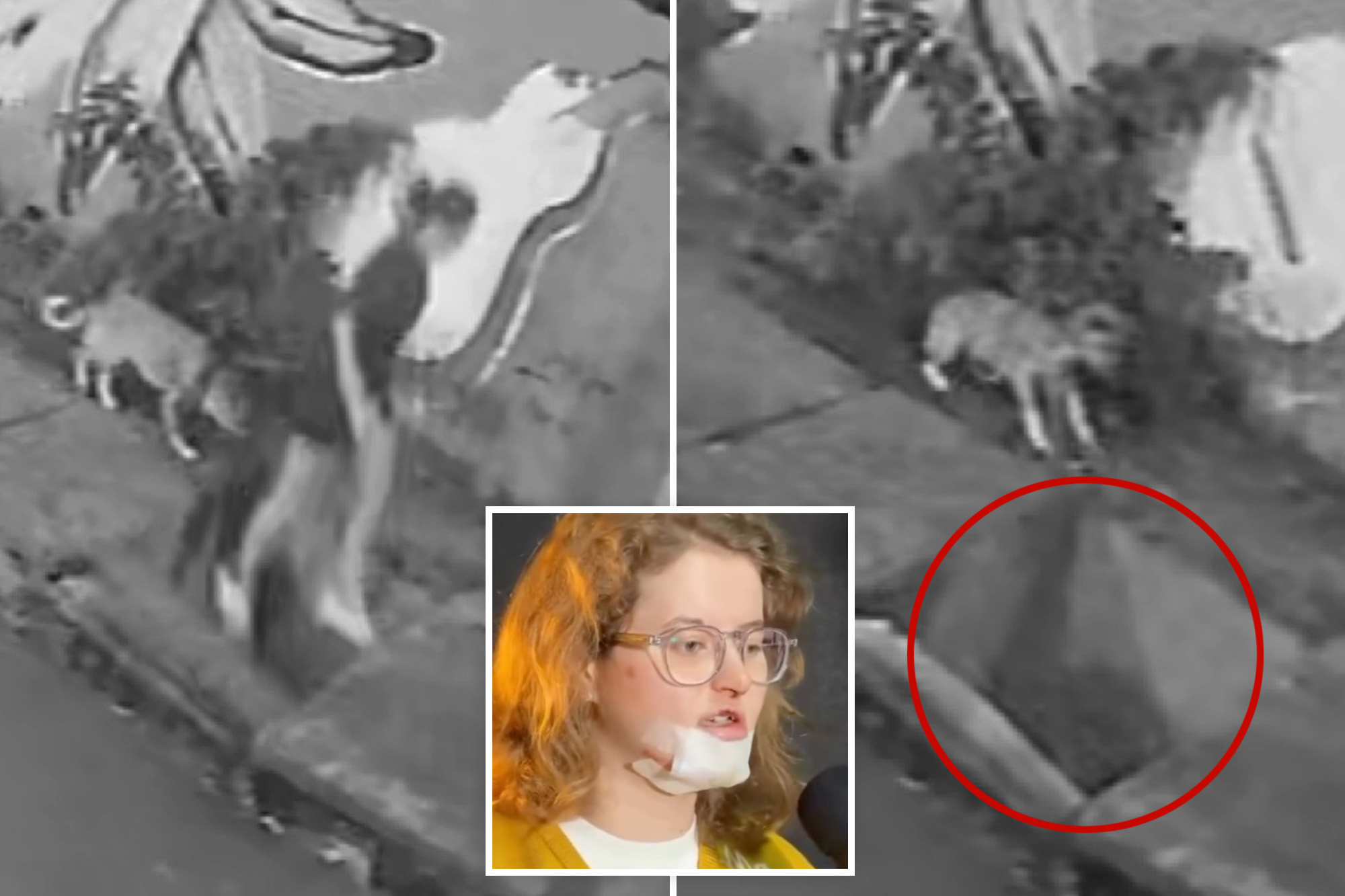 Shocking video shows woman plunging as sidewalk suddenly opens up on dog walk