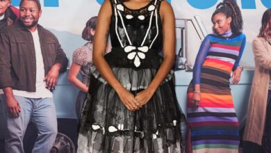Shrinking REALLY REALLY Wants That Emmy Nod – Go Fug Yourself