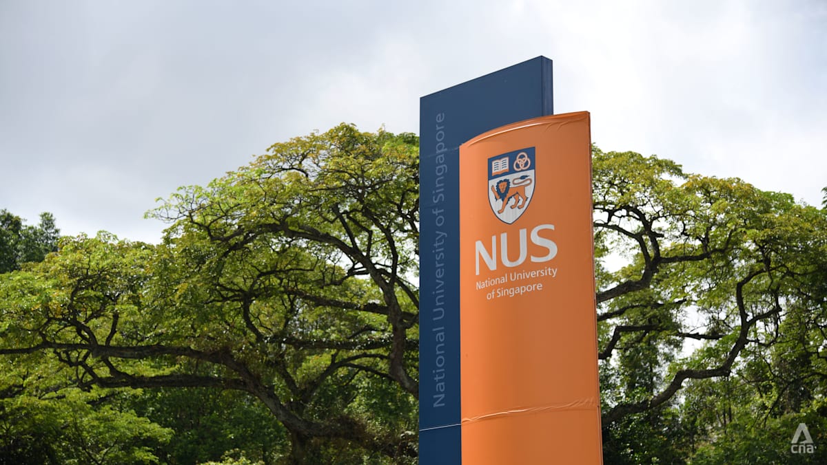 Singapore universities assessing impact after global cyberattack on educational tool Canvas