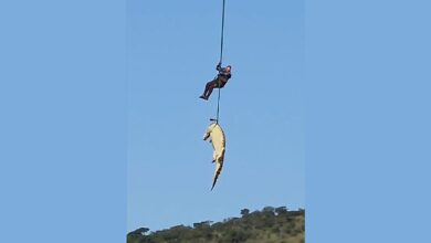 South African police airlift massive crocodile suspected of eating missing local
