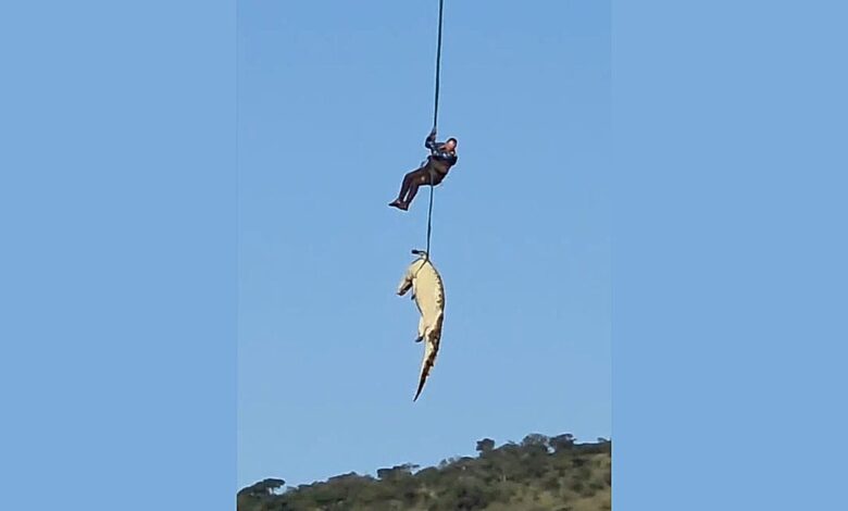 South African police airlift massive crocodile suspected of eating missing local