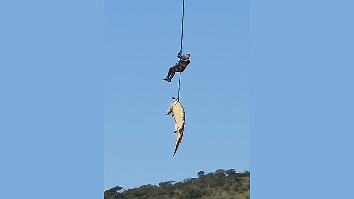 South African police airlift massive crocodile suspected of eating missing local