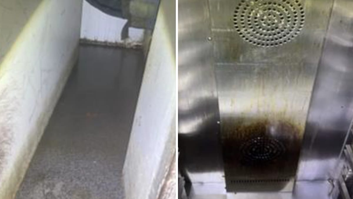 Stamford Catering Services fined S,000 after dozens fell ill in 2024 and 2025