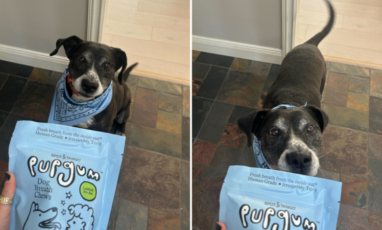 Stop holding your breath — this  pup dental chew actually works