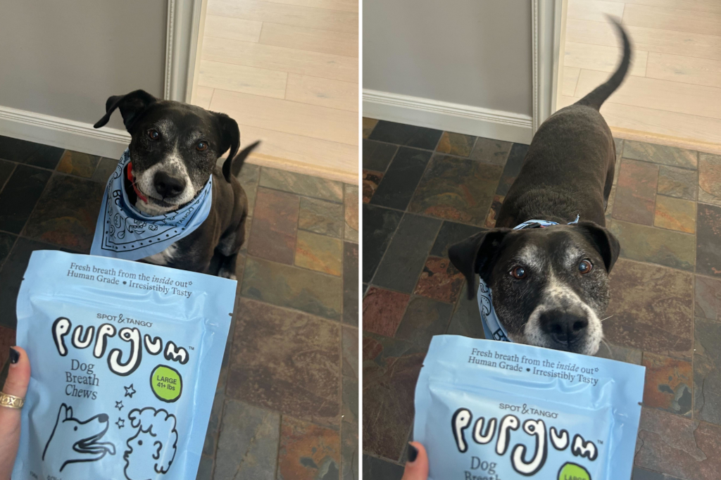 Stop holding your breath — this  pup dental chew actually works