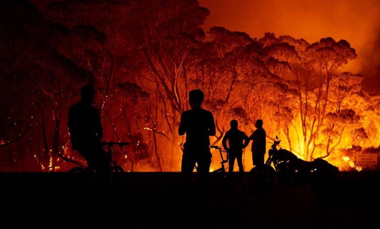 Super El Niño alert as record sea temperatures and extreme weather loom