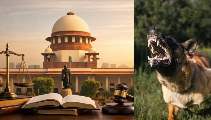 Supreme Court Upholds Stray Dog Removal Order, Tightens Enforcement in Public Spaces