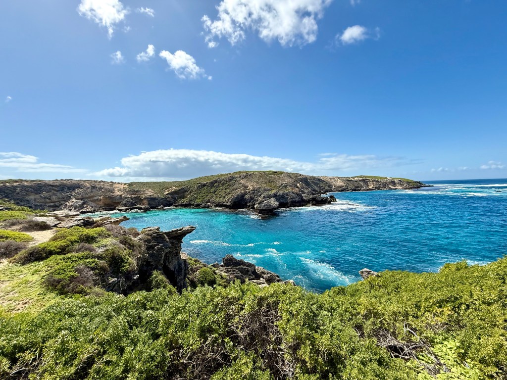 Swimmer killed in shark attack off Australian coast