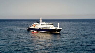 Swiss man tests positive for hantavirus after returning from cruise linked to deadly outbreak