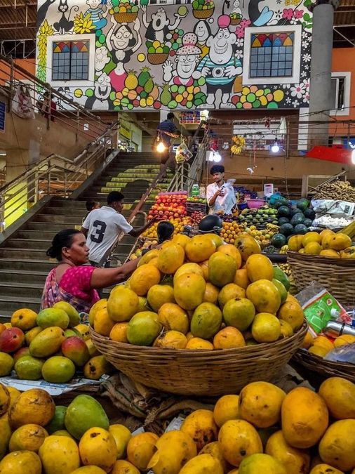 The Story of the Goan Mango That Was Called Ugly — and Now Costs Rs 7000 a Dozen