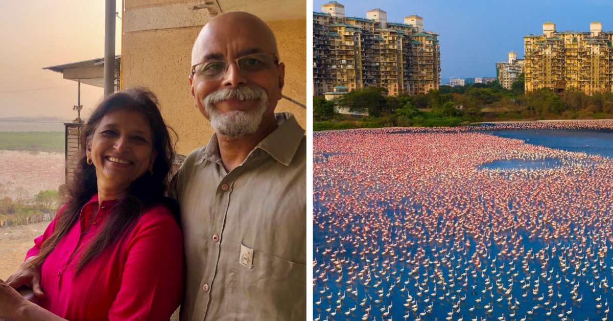 This Couple’s Morning Walks Helped Save Navi Mumbai’s Wetlands & Brought Back Thousands Of Flamingos