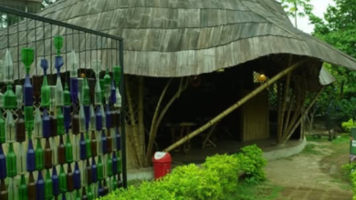 This Indian Art Museum Has No Red Carpet But Celebrates Indigenous Art Across 5 Acres (The Size of 4 Football Fields!)