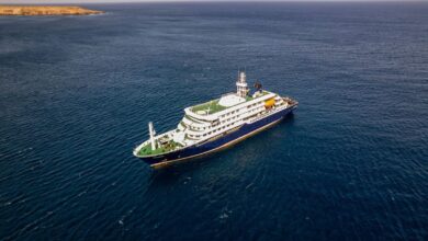 Three dead in suspected hantavirus outbreak on cruise ship in Atlantic with two Irish on board