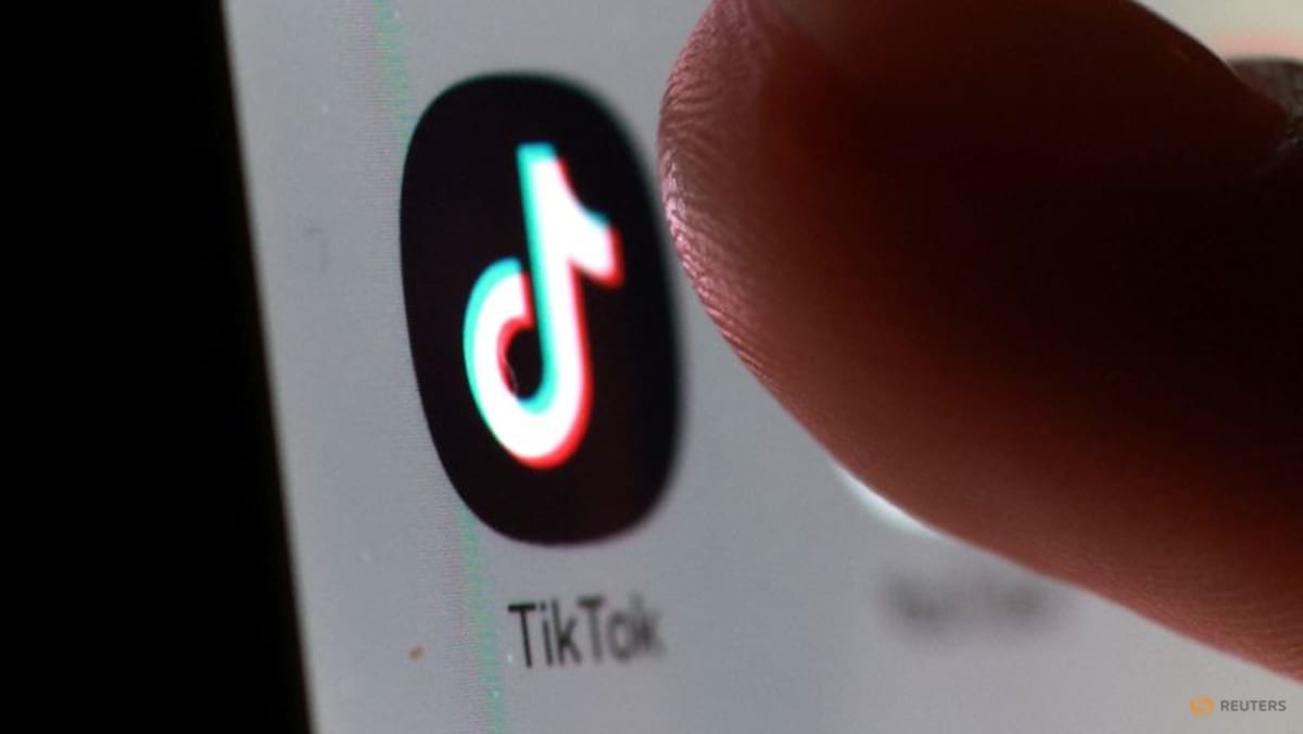 TikTok challenges EU ‘gatekeeper’ status at Europe’s top court