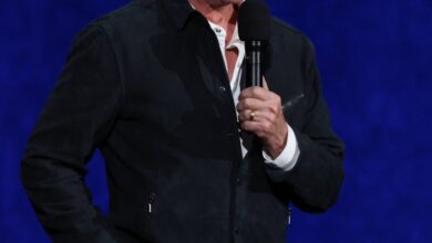 Tim Allen trolls ‘No Kings’ lawmakers for fawning over actual King Charles