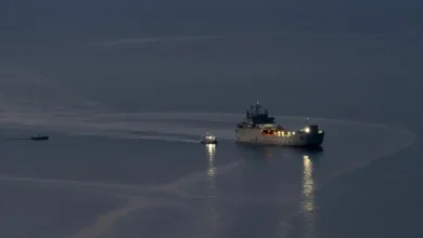 Two Gaza aid flotilla activists brought to Israel for questioning: foreign ministry