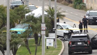 Two dead, including 1-year-old, in Playa Del Rey hit-and-run crash