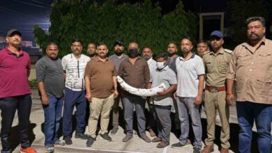 Two wildlife smugglers arrested with elephant tusk worth Rs 1.5 crore  – Pioneer Edge | Uttarakhand News in English | Dehradun News Today| News Uttarakhand | Uttarakhand latest news