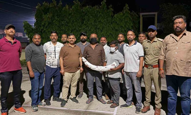 Two wildlife smugglers arrested with elephant tusk worth Rs 1.5 crore  – Pioneer Edge | Uttarakhand News in English | Dehradun News Today| News Uttarakhand | Uttarakhand latest news