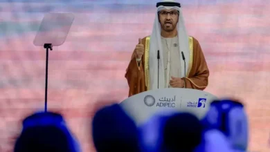 UAE says Opec exit ‘not directed against anyone’