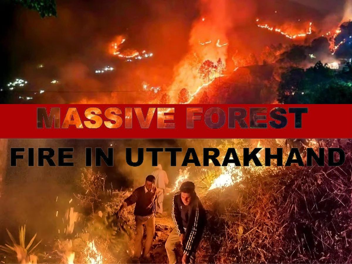 Uttarakhand: Massive Forest Fire Affects Over 14 Hectares in Tehri Garhwal