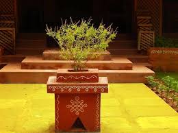 Vastu Tips: घर में तुलसी लगाने से पहले जान लें सही दिन, दि