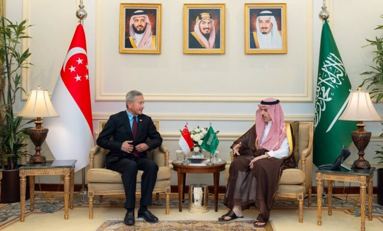 Vivian Balakrishnan stresses importance of free transit through Strait of Hormuz during Gulf visit