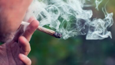 Weed is harming teens’ brain development, largest US study warns