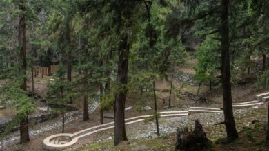 What Architects Did With a 19th-Century Cemetery in Uttarakhand Might Surprise You