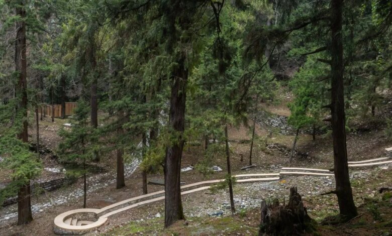 What Architects Did With a 19th-Century Cemetery in Uttarakhand Might Surprise You
