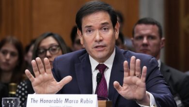 What Rubio’s rise as the internet’s ‘fixer’ tells us about today’s politics