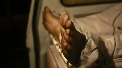 Woman, three children murdered in Multan; scene staged as suicide: officials