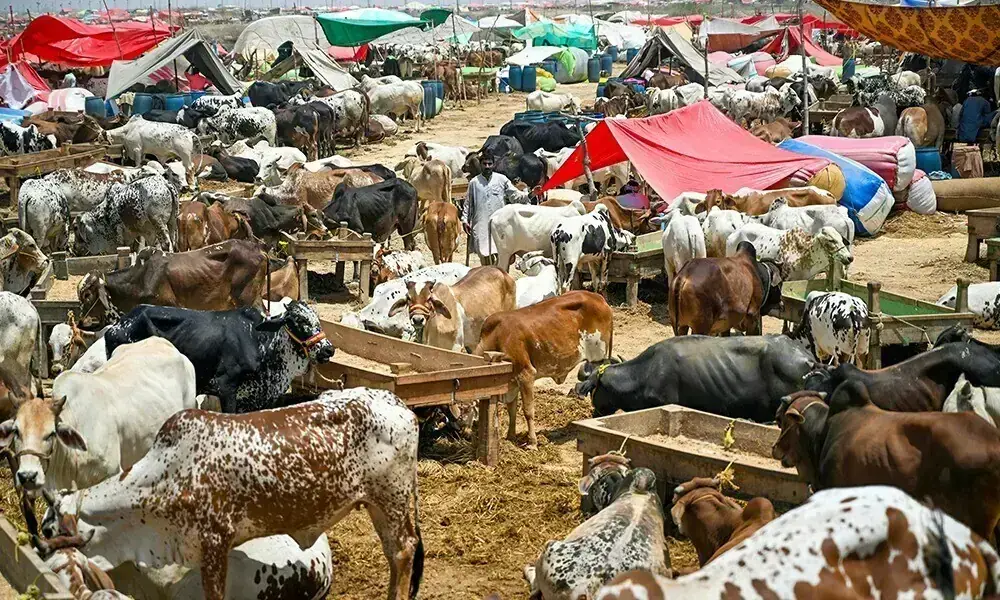 Zilhajj moon sighted; Eidul Adha to fall on May 27 in Pakistan