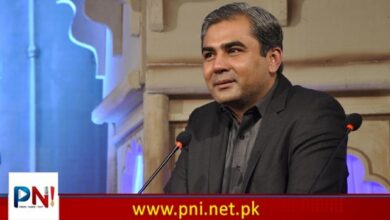 ون کانسٹیٹیوشن فراڈ میں کون کونسے سیاستدان، بیوروکریٹس، ججز اور بینکرز ملوث؟ محسن نقوی کا انکشاف – Pakistan News International – Latest Pakistani News in Urdu
