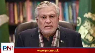 پاکستان اور اردن کے تعلقات میں بڑی پیش رفت… اہم رابطہ مکمل