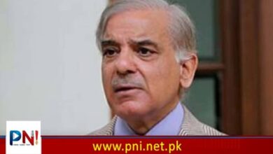 پیدائش سے 5 سال تک کے بچوں کووظیفہ دینے کا فیصلہ ، کتنے ہزار روپے ؟ جانئے – Pakistan News International – Latest Pakistani News in Urdu