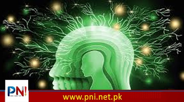 کیا اے آئی سے انسانی دماغ کی صلاحیتیں مفلوج ہورہی ہیں ؟ نئی تحقیق نے خطرے کی گھنٹی بجا دی – Pakistan News International – Latest Pakistani News in Urdu