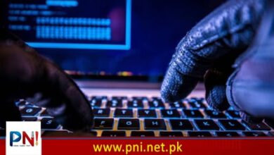 ہیکرز کا سائبر حملہ، لاکھوں خفیہ دستاویزات چرا لئے گئے – Pakistan News International – Latest Pakistani News in Urdu