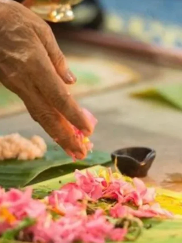 पितृ पक्ष में किन चीज़ों का सेवन नहीं करना चाहिए? – News1India