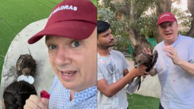 ‘Hot for Them Too’: British Man Praised Online for Rescuing Dehydrated Bird Amid Delhi’s Heatwave | World News – The Times of India
